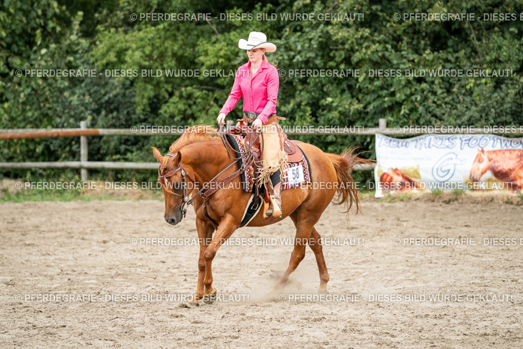 DSC02138 | Pferdegrafie