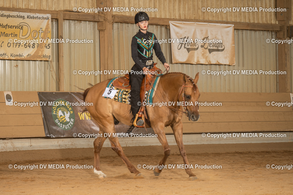 NID03181 | dv-media-shop - Realisiert mit Pictrs.com