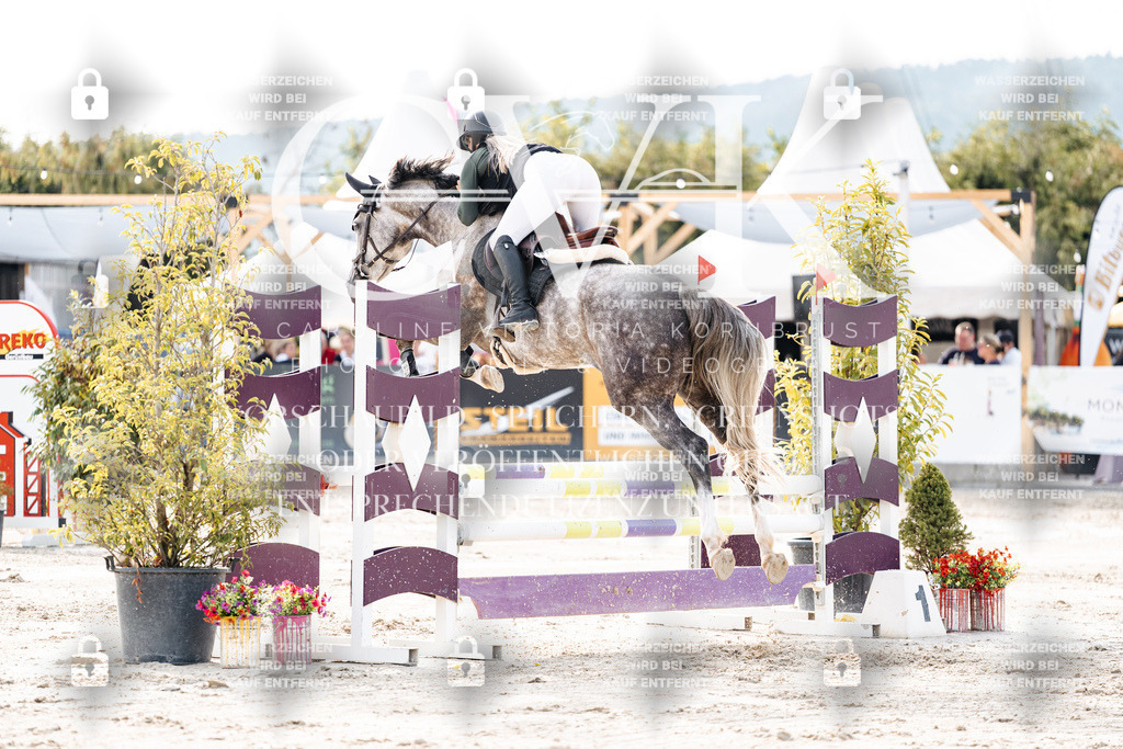 CK906595 | Turnierfotografie Pferdefotografie Trier Rheinland-Pfalz Pferdesport Reitsport Tierfotografie Sportfotografie Pferdevideo Pferdevideografie Equestrianvideography equestrianphotography  - Realisiert mit Pictrs.com