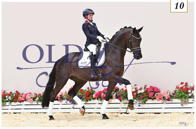 10 Secret Game DE330822718 HE-Rpf Secret - Fürst Wilhelm | <meta name="description" content="★Offizieller Merchandise und Foto-/Videostore des Oldenburger Verbandes.★ ✅Jetzt auch digital Ausdrucke erhältlich." />
<meta name="keywords" content="Merchandise Foto-/Videostore Oldenburger Verband Photographie 