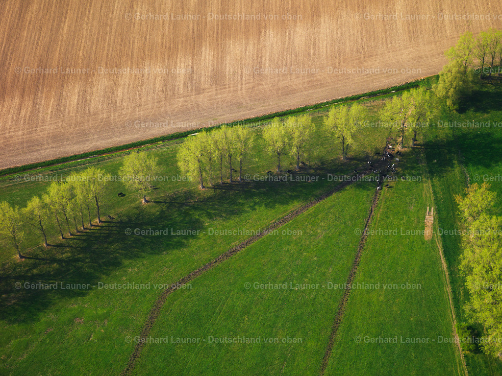 9300096 | Baum-undFeldstrukturen bei Emmerich