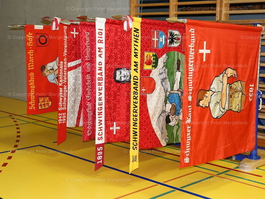 DSC05876 | Schwingen - Realisiert mit Pictrs.com