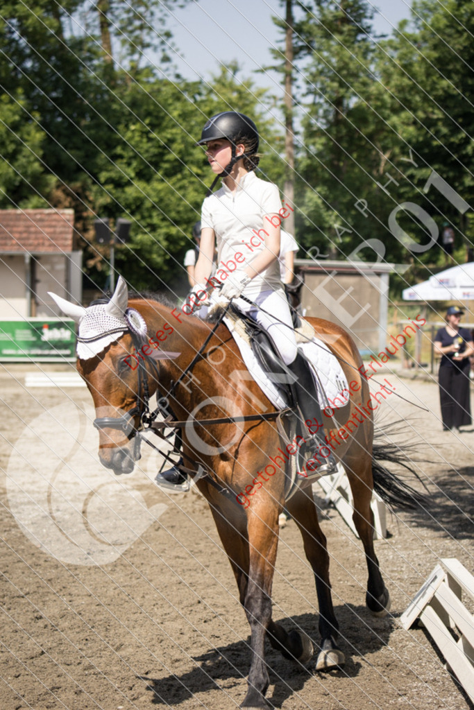 IMG_4766 | Sport-, Event- und Tierfotos in Profiqualität. Einfach auswählen, bestellen und herunterladen. Dein Moment – perfekt festgehalten.