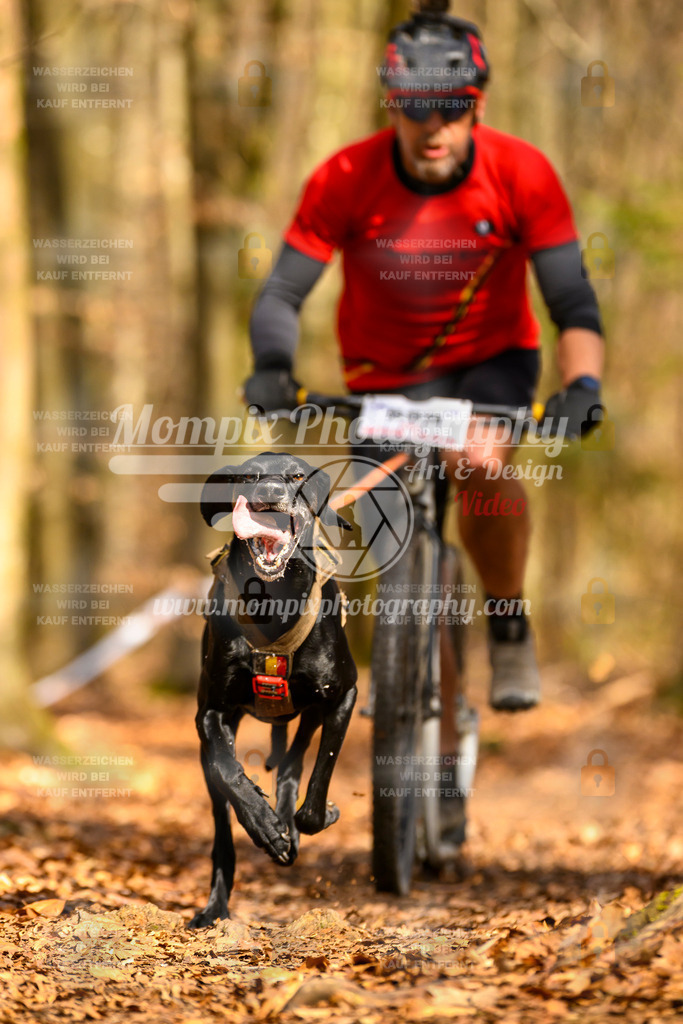 MompixPhotography_Habay2025_SA_SCO-51 | PayLife