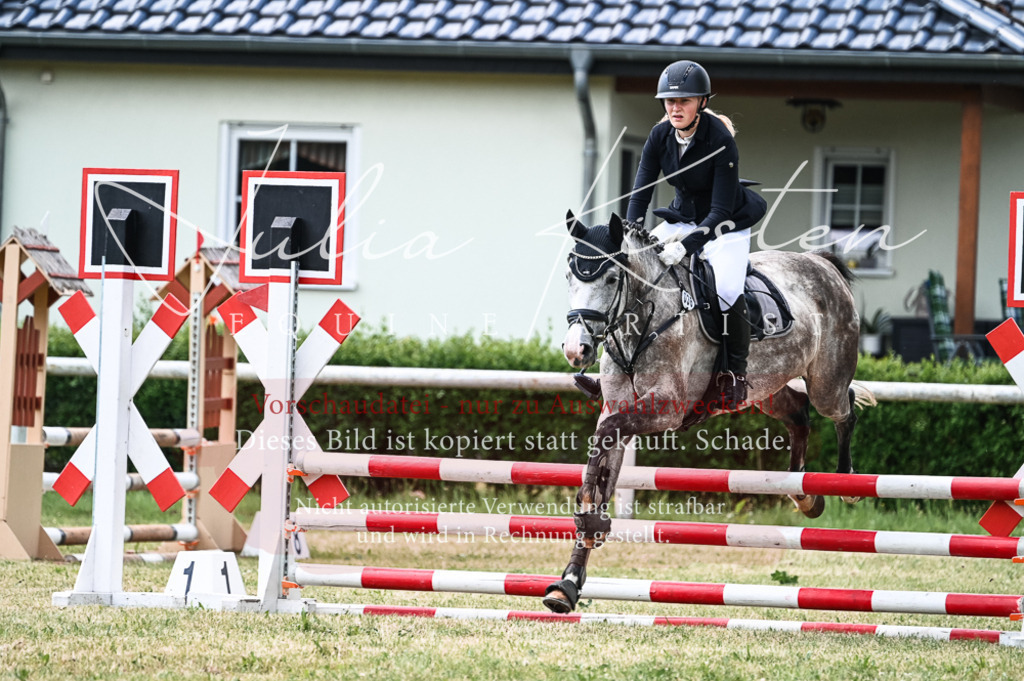 DSC_8924 | Pferde- und Turnierfotografie in Westsachsen. Pferdeportraits, Auftragszeichnungen und intuitive Kunst.