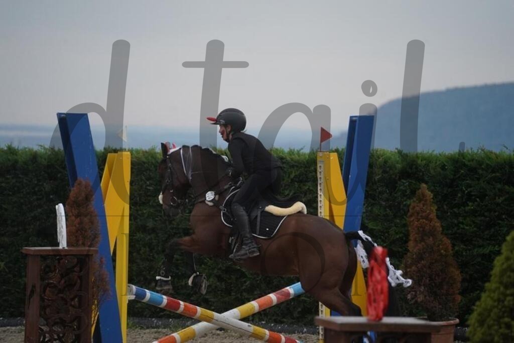 pfmagarethenhof (44) | d.tail Visions - Shop - Realisiert mit Pictrs.com