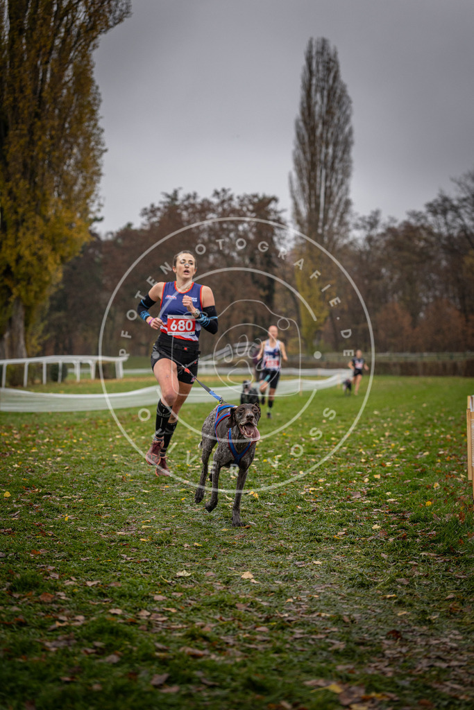 CaniXpix_DV3A9057 | Hundefotografie, Tierfotograf, Pfotenfotografie, Fotoshooting Hund, Hunde Portrait, Hundesport, Hundeportraits, Heideshooting, Hunde, Sportfotograf, Hundefotograf, Turnierhundsport, THS,  - Realisiert mit Pictrs.com