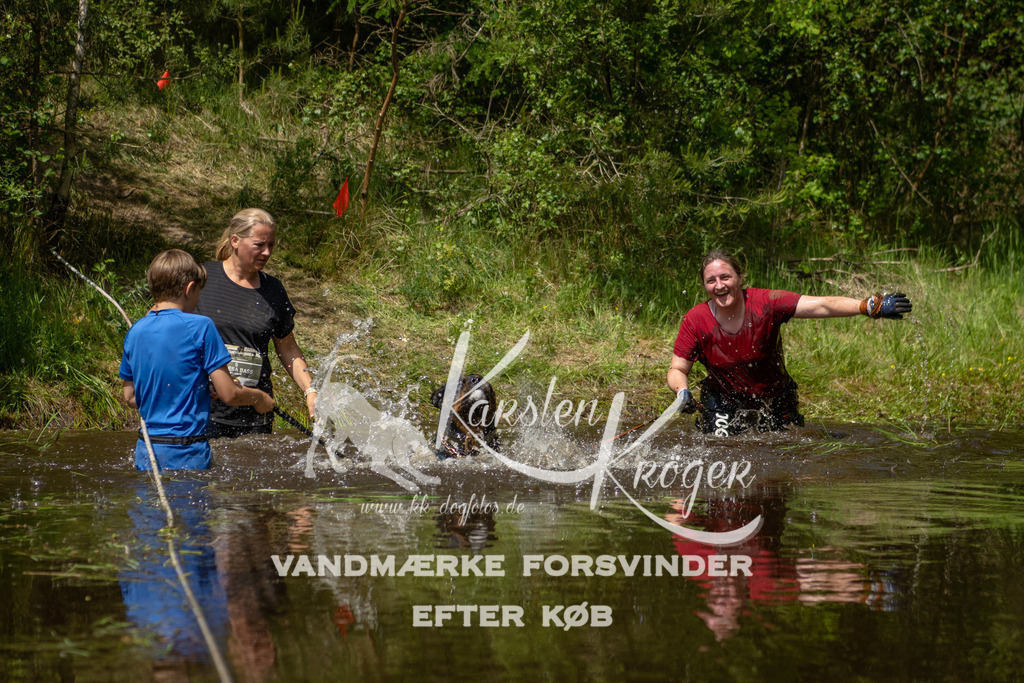 1255DKK993649 | kk-dogfotos