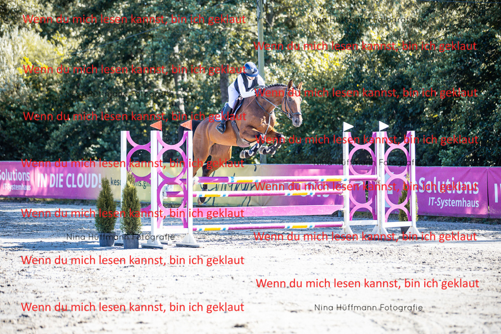BK1A5865 | Turnierbilder Turnierfotos Nina Hüffmann Turnierfotografie Pferdefotografie Tierzeichnung Haustierzeichnung Pferdezeichnung Hundezeichnung Videograf  - Realisiert mit Pictrs.com