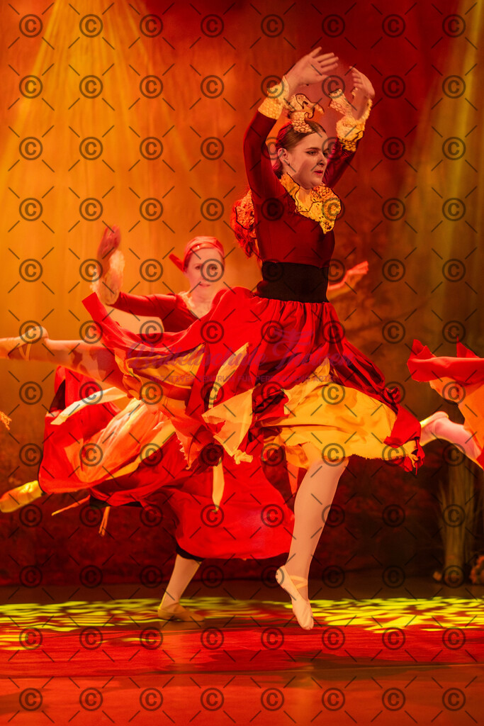 Ballettaufführung-1476 | Bildershop Lem'n Entertainment - Realisiert mit Pictrs.com
