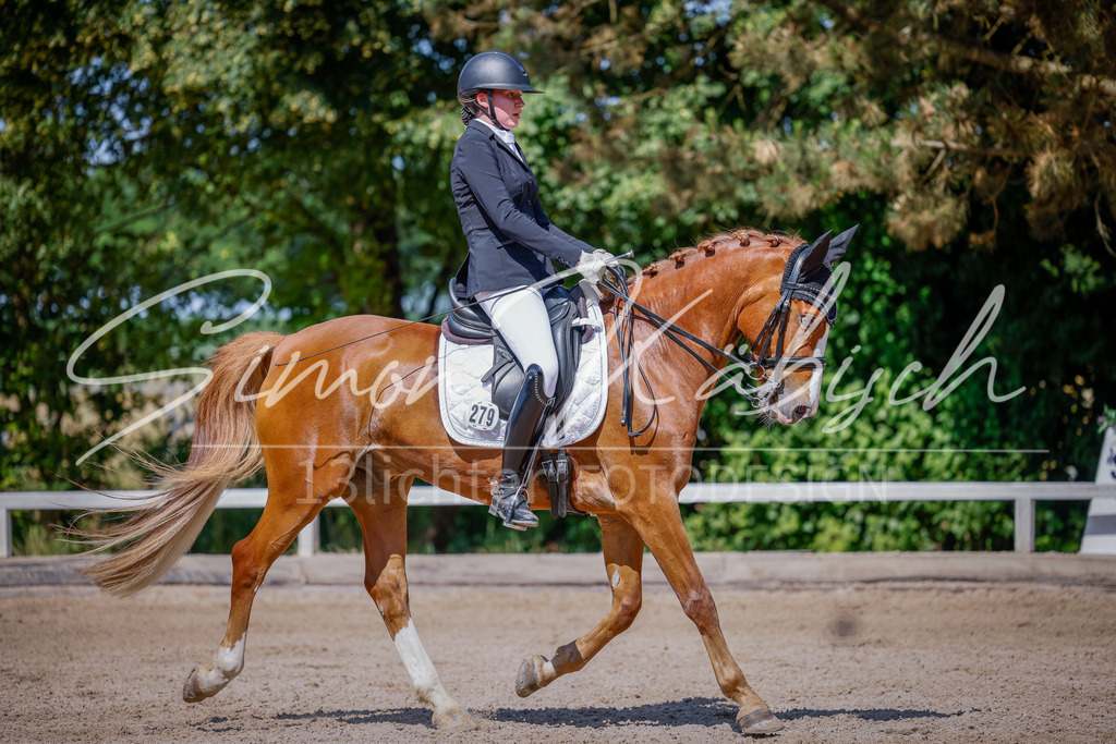 20250621-_3LI9382 | Tierfotografie Pferde, Hunde, Katzen, Haustiere.
Turnierfotografie Reitturniere, Reiten, Springreiten, Dressur in Hanau, dem Main-Kinzig-Kreis und dem Rhein-Main- Gebiet um Frankfurt