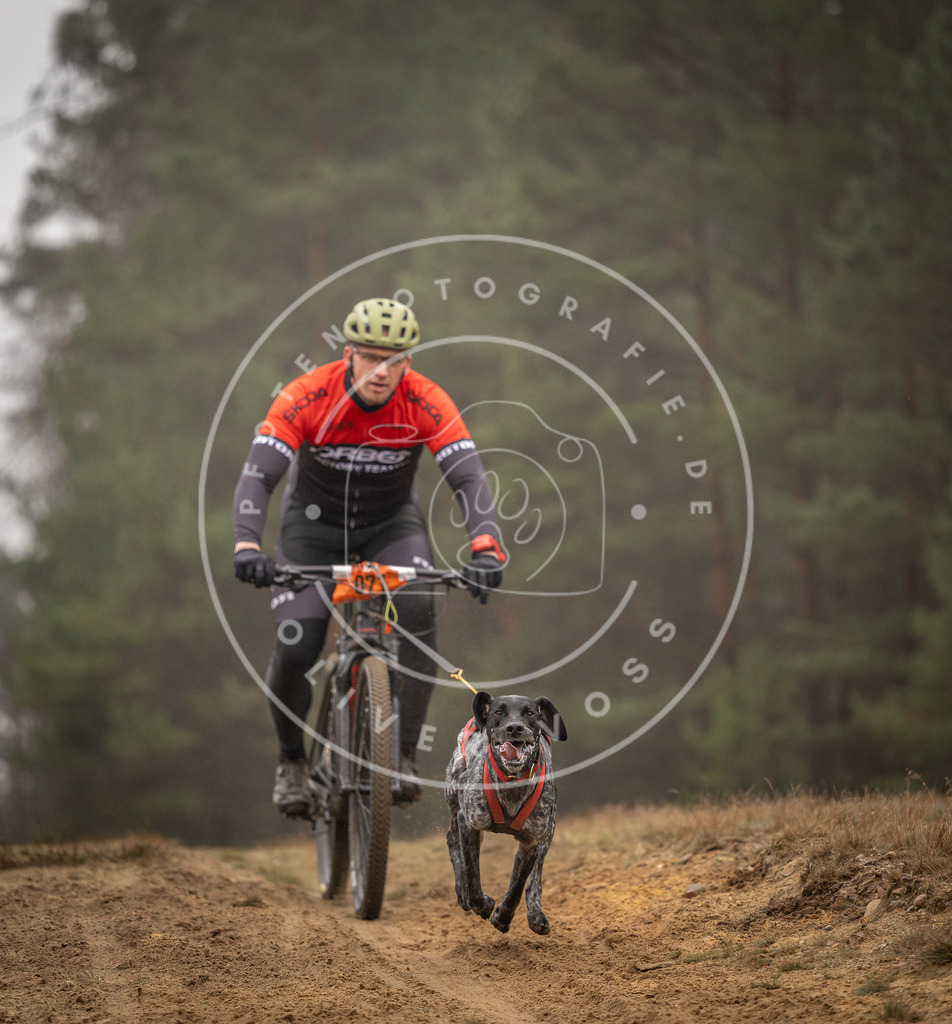 Pfotenfotografie_DV3A2594 | Hundefotografie, Tierfotograf, Pfotenfotografie, Fotoshooting Hund, Hunde Portrait, Hundesport, Hundeportraits, Heideshooting, Hunde, Sportfotograf, Hundefotograf, Turnierhundsport, THS,  - Realisiert mit Pictrs.com