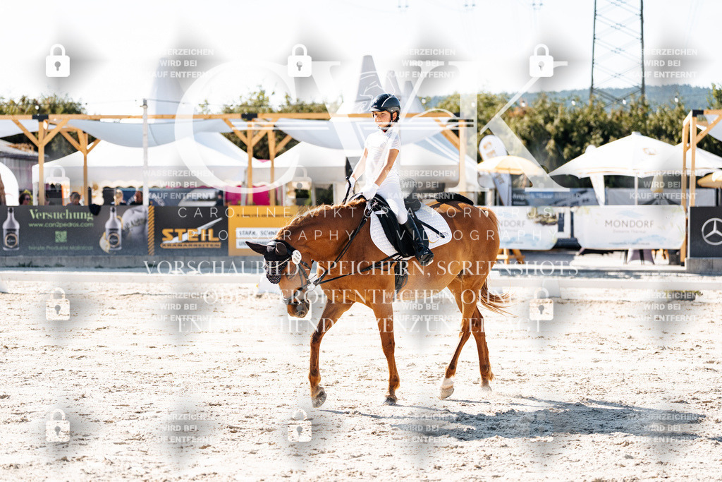 CK903282 | Turnierfotografie Pferdefotografie Trier Rheinland-Pfalz Pferdesport Reitsport Tierfotografie Sportfotografie Pferdevideo Pferdevideografie Equestrianvideography equestrianphotography  - Realisiert mit Pictrs.com