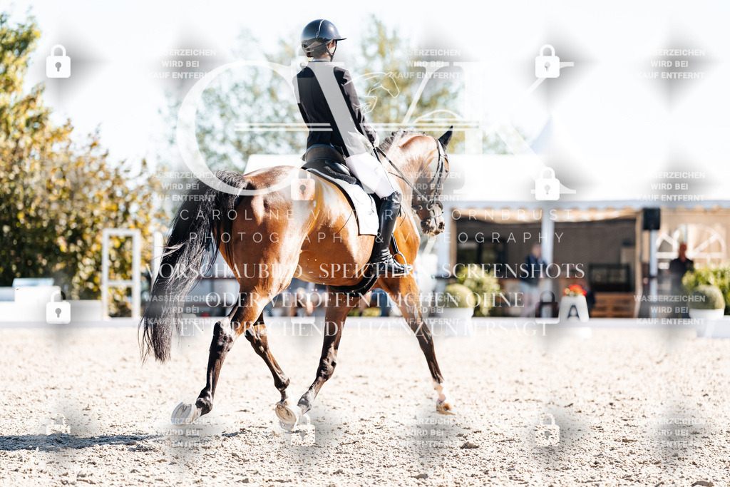 CK908626 | Turnierfotografie Pferdefotografie Trier Rheinland-Pfalz Pferdesport Reitsport Tierfotografie Sportfotografie Pferdevideo Pferdevideografie Equestrianvideography equestrianphotography  - Realisiert mit Pictrs.com