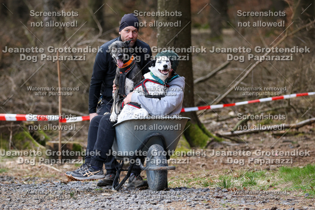 Dog Paparazzi - VCC26-730 | Dog Paparazzi Jeanette Grottendiek Fotografie & Videografie - Realisiert mit Pictrs.com