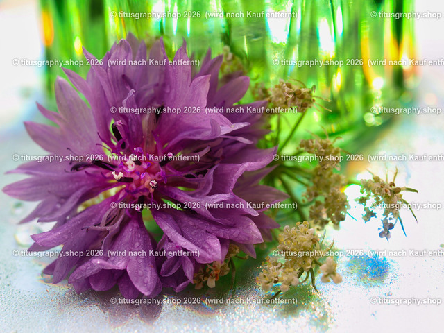 titusgraphy_P7284342-vz-ln | OLYMPUS DIGITAL CAMERA - Realisiert mit Pictrs.com