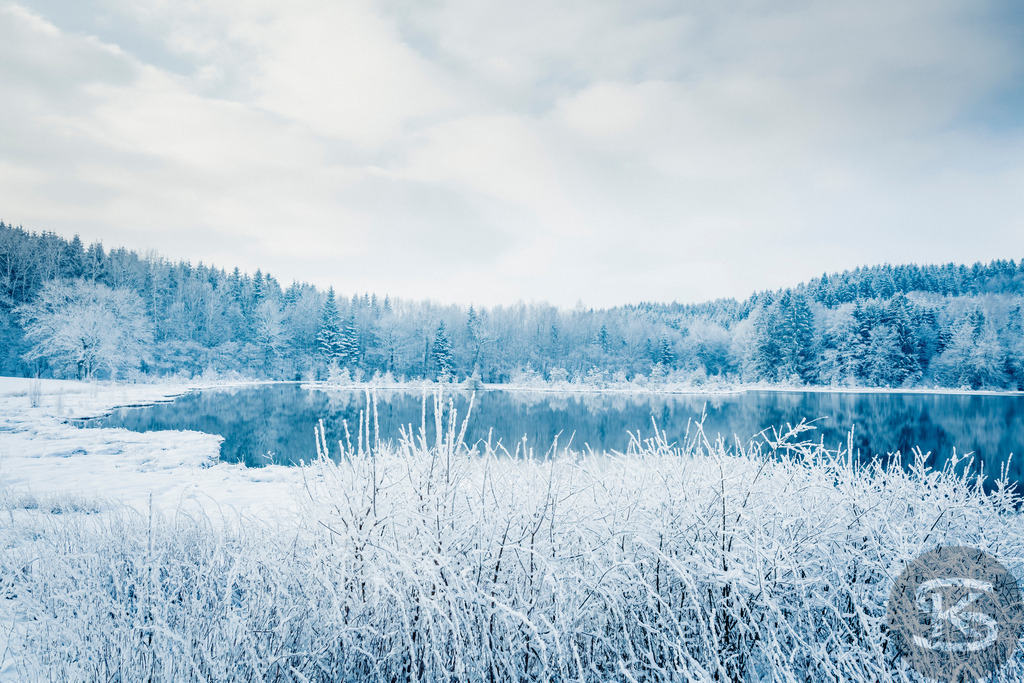 Winterstille am See – Verschneites Ufer mit Waldspiegelung | Ruhige Winterszene an einem stillen See mit verschneitem Ufer im Vordergrund. Der schneebedeckte Nadelwald am gegenüberliegenden Ufer spiegelt sich perfekt im glatten Wasser. Gefrorene Gräser und Schnee am Ufer bilden einen natürlichen Rahmen für diese friedliche Landschaft unter weichem Winterhimmel. - Realisiert mit Pictrs.com