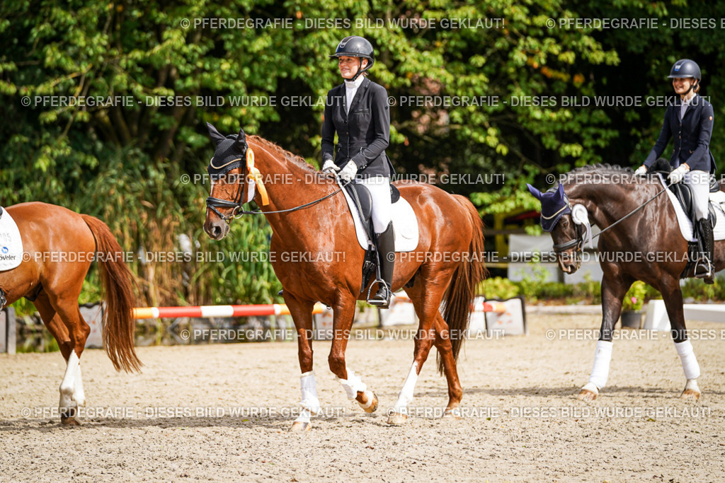 DSC02448 | Pferdegrafie