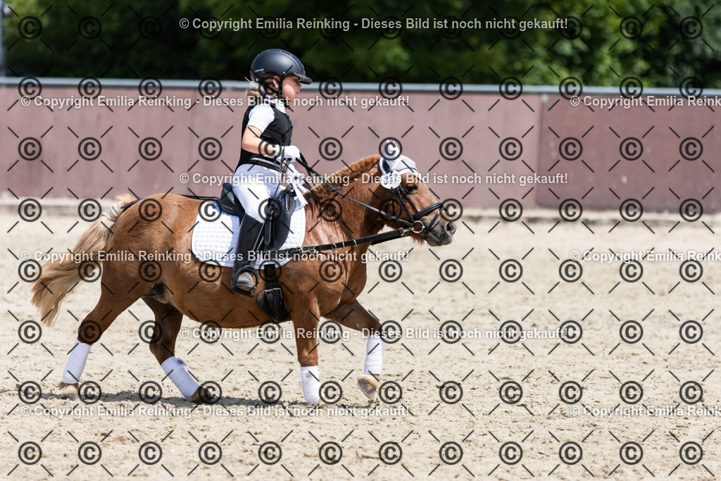 CL5A3778 | Emilia Reinking Fotografie - Realisiert mit Pictrs.com