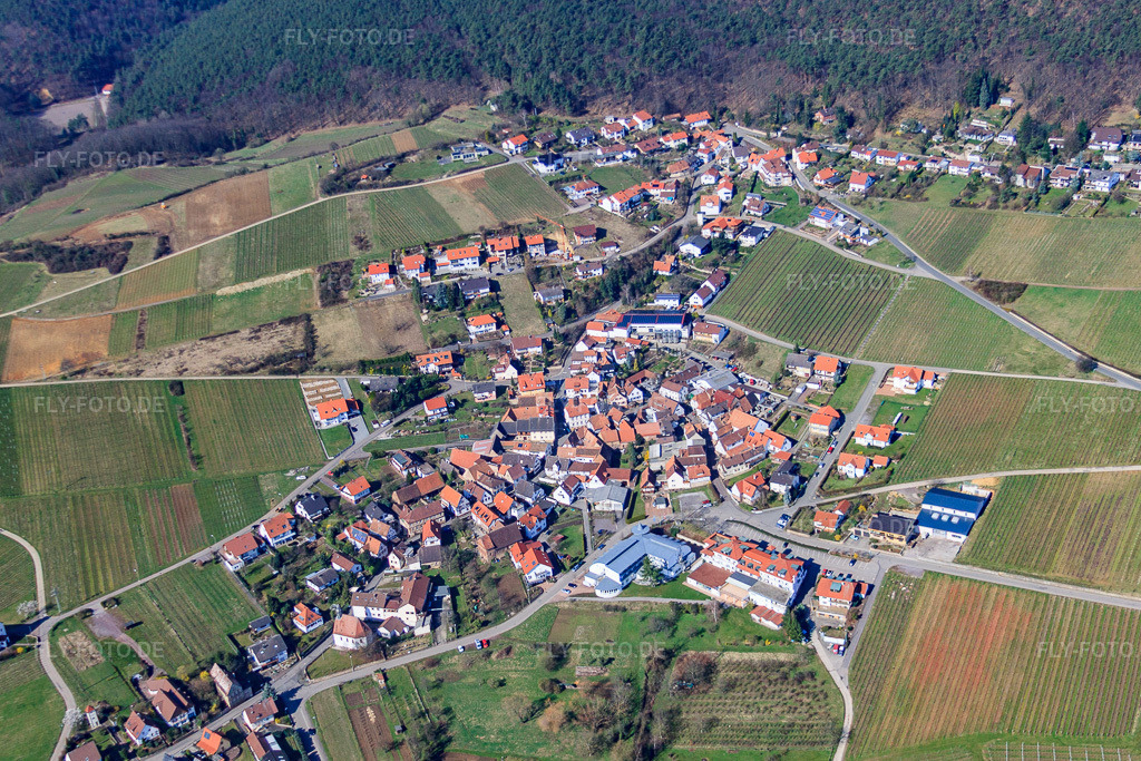 Luftbild: Ortsansicht von Osten im Ortsteil Gleiszellen in Gleiszellen-Gleishorbach im Bundesland Rheinland-Pfalz in Deutschland. Foto: IMG_38351.jpg vom 20.03.2011 durch Werner Riehm/FLY-FOTO.deAuflösung des Originals: 4485 x 2990 px