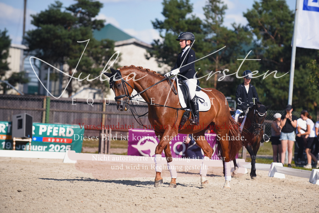 DSC_0068 | Pferde- und Turnierfotografie in Westsachsen. Pferdeportraits, Auftragszeichnungen und intuitive Kunst.