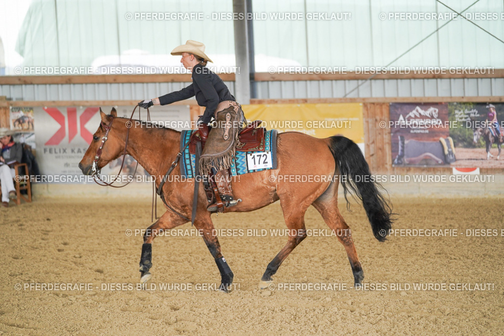 DSC03042 | Pferdegrafie