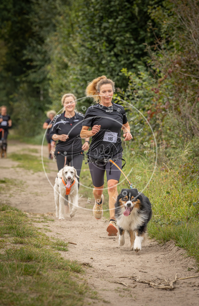 Pfotenfotografie_DV3A7234 | Hundefotografie, Tierfotograf, Pfotenfotografie, Fotoshooting Hund, Hunde Portrait, Hundesport, Hundeportraits, Heideshooting, Hunde, Sportfotograf, Hundefotograf, Turnierhundsport, THS,  - Realisiert mit Pictrs.com