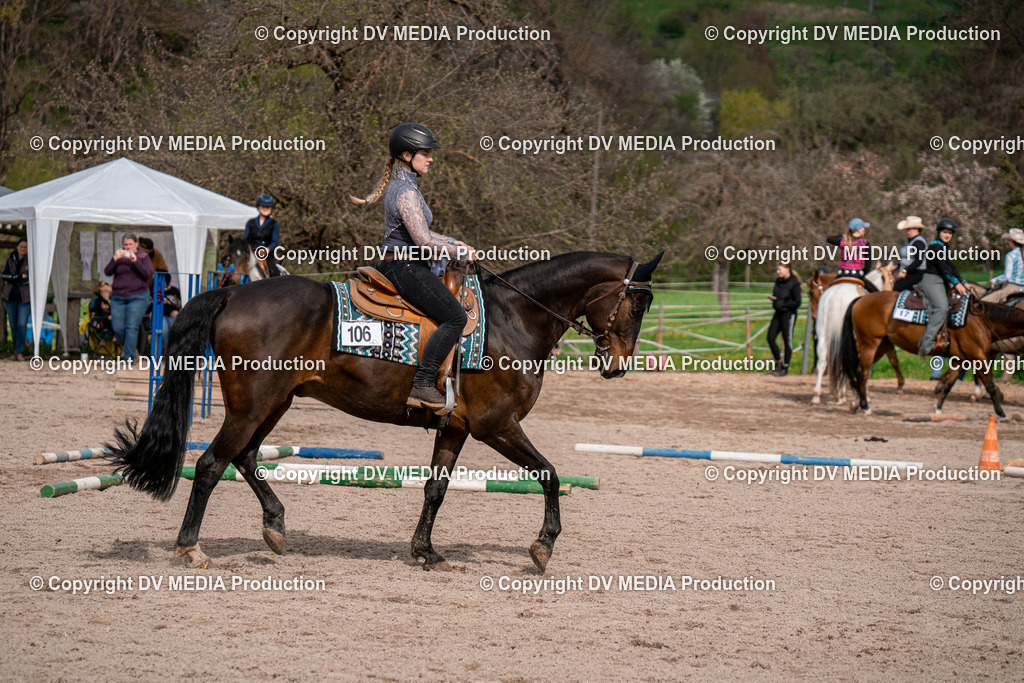 BAL02648 | dv-media-shop - Realisiert mit Pictrs.com