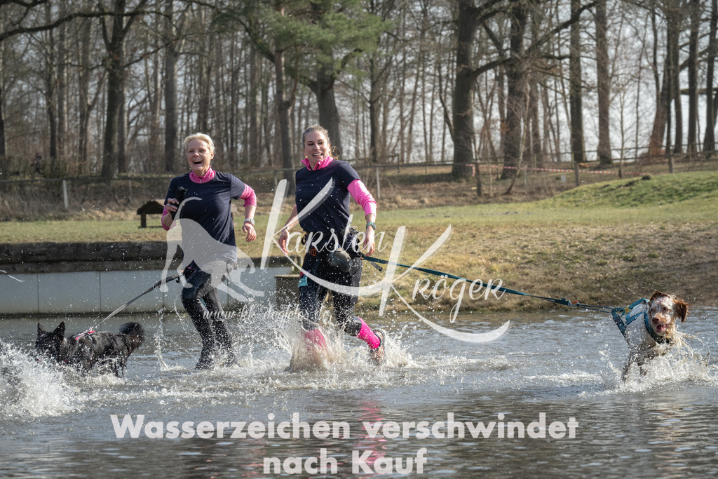 1250_ZZ92251 | kk-dogfotos