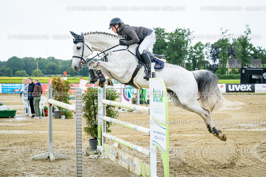 DSC04369 | Pferdegrafie