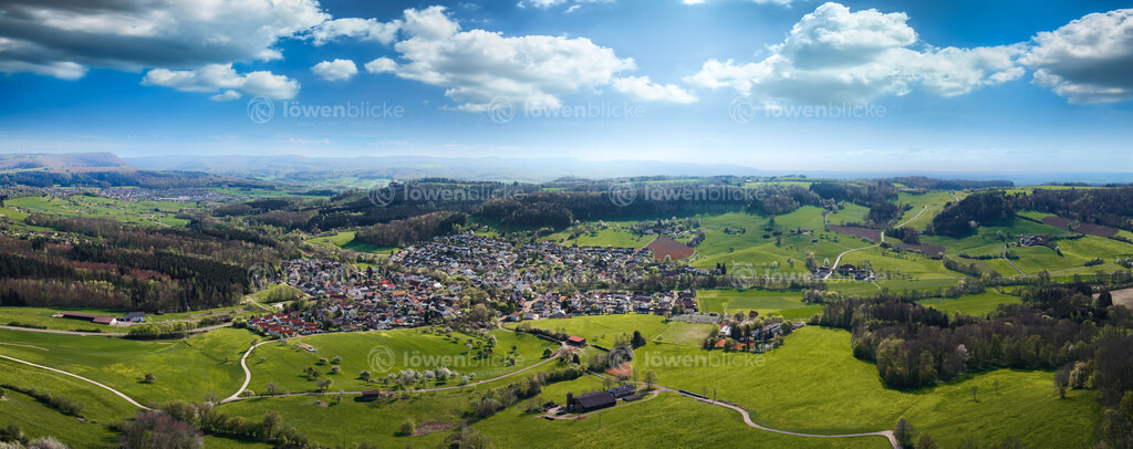 Reichenbach unter Rechberg im Frühling | löwenblicke | shop