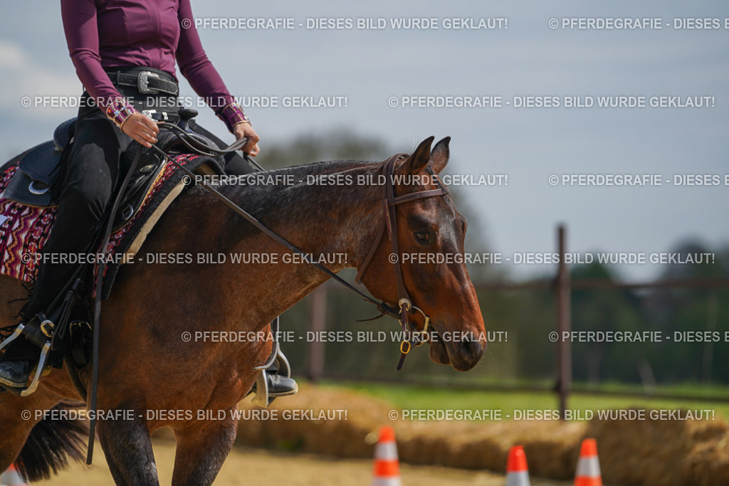 DSC04970 | Pferdegrafie