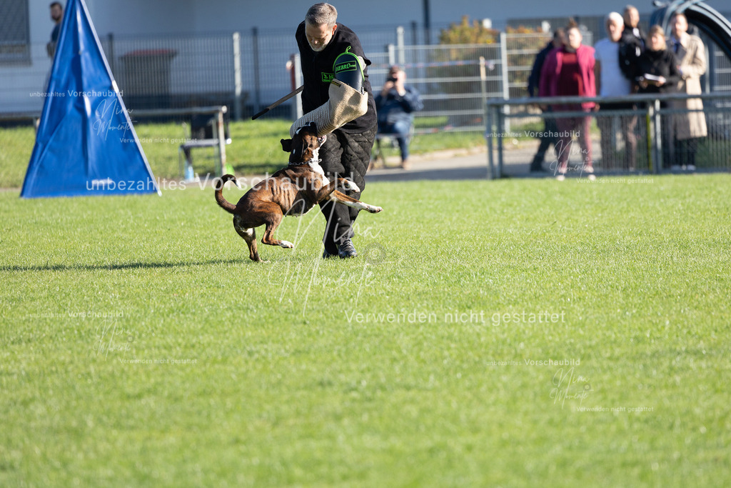 _16A5147 | Einzigartige Fotos von Hunden & Menschen –Actionfotos, Portraits, Vereinsaufnahmen & Paarshootings – authentisch, lebendig & mit Herz.