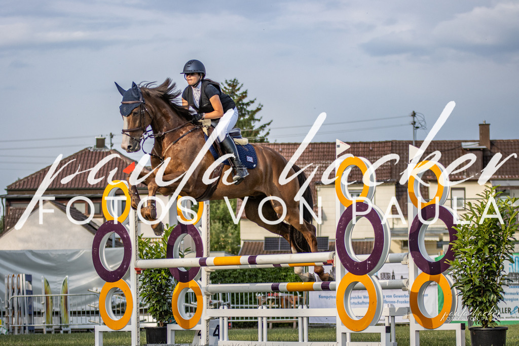 IMG_7766 | Erleben Sie dynamische Sport- und emotionale Tierfotografie in Süddeutschland mit Fotos von Paula. Spezialisiert auf Pferde- und Hundefotografie sowie Sportevents. Kontaktieren Sie mich für einzigartige und ausdrucksstarke Bilder Ihrer besonderen Momente. - Realisiert mit Pictrs.com