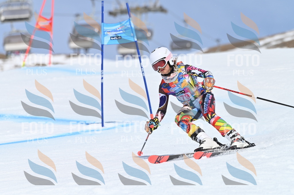 BGV_0601 | holidayphoto