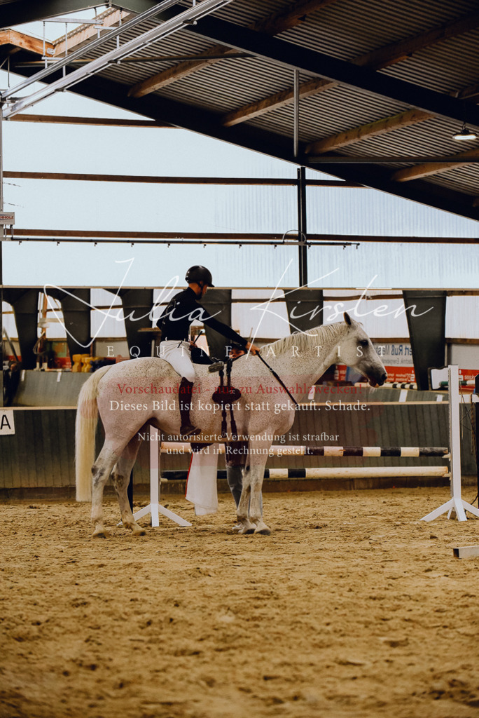 DSC_6988 | Pferde- und Turnierfotografie in Westsachsen. Pferdeportraits, Auftragszeichnungen und intuitive Kunst.