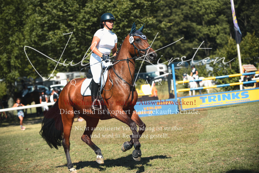 DSC_7251 | Pferde- und Turnierfotografie in Westsachsen. Pferdeportraits, Auftragszeichnungen und intuitive Kunst.