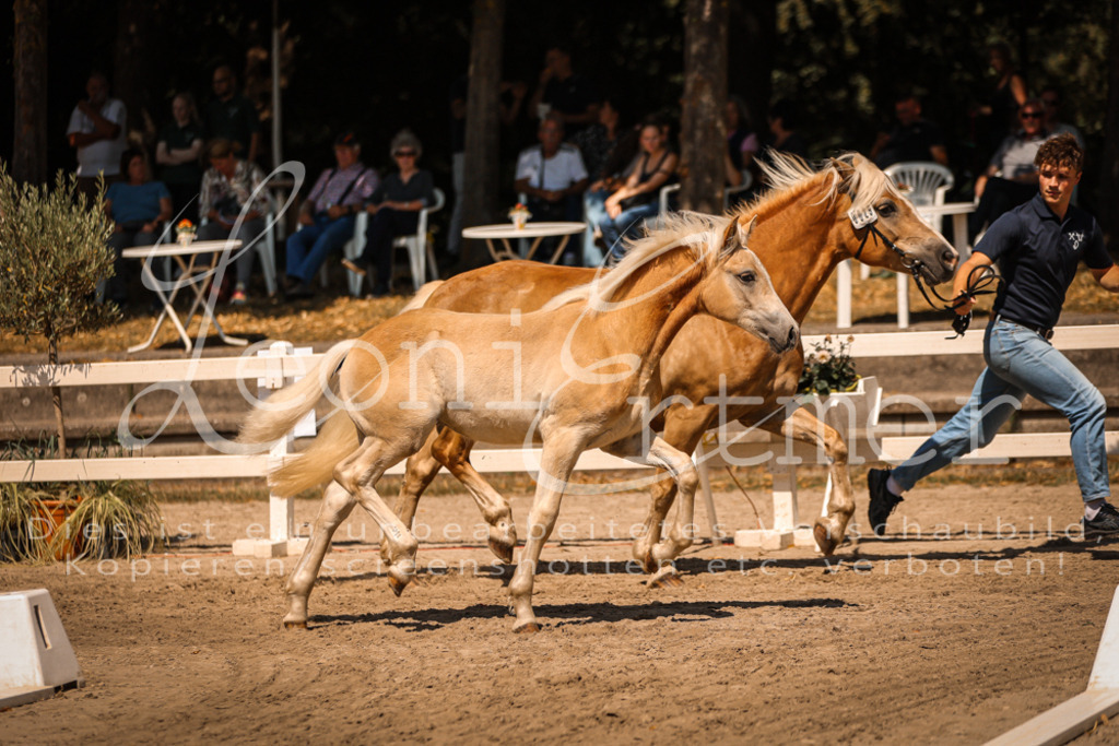 06.DoH00067 | Leoni Ertmer Photography - Realisiert mit Pictrs.com