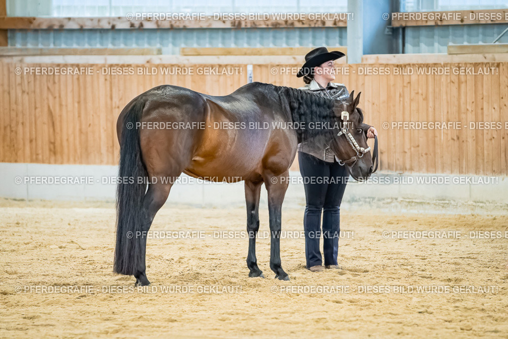 DSC09843 | Pferdegrafie