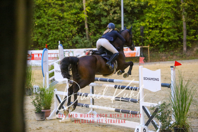 IMG_6257 | Turniersportfotografie; Pferdefotografie; Dressurfotografie