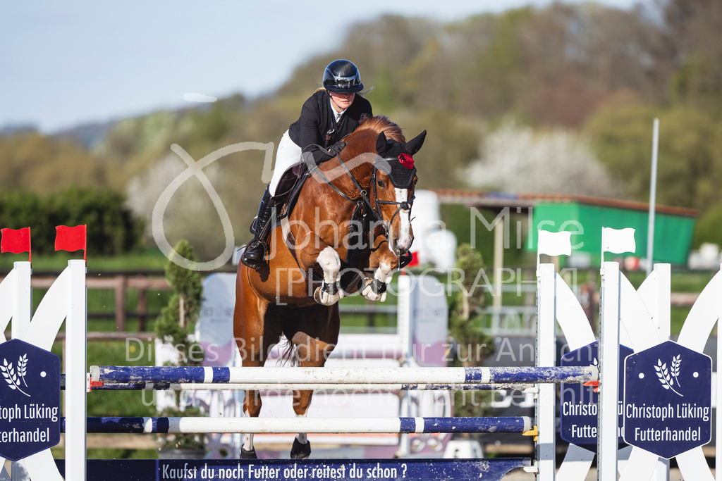 260421_Frühlingsfest_5_SprPf-M-517 | Deine schönsten Turniermomente als professionelle Fotos! Entdecke hochwertige Pferdesport-Fotografie im Online-Shop. Jetzt Fotos finden & bestellen!