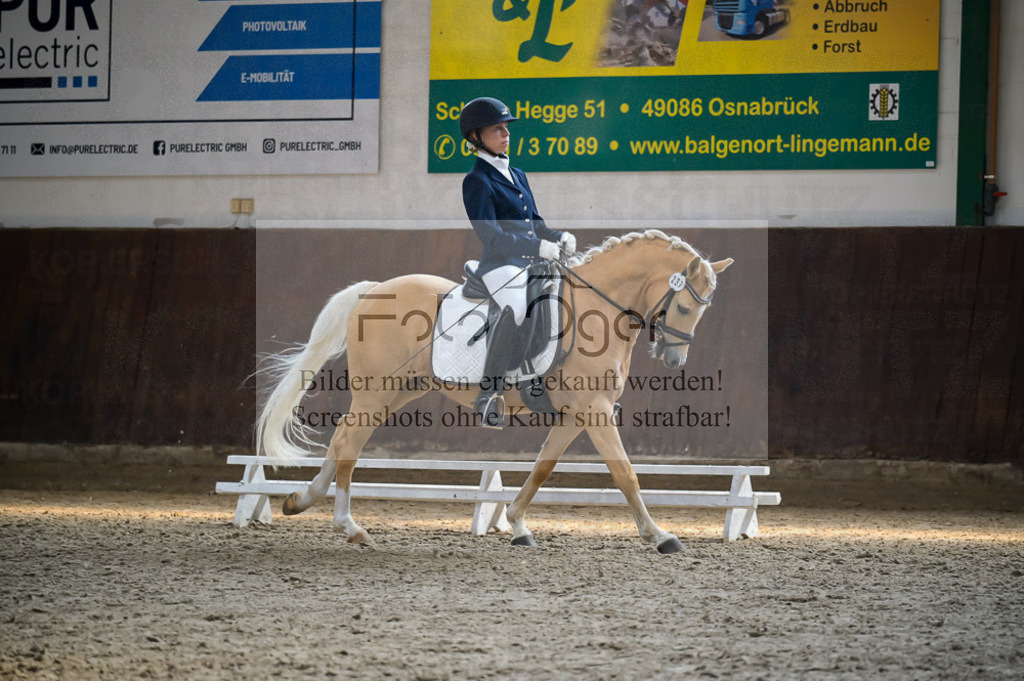 Reitturnier Voxtrup | Entdecke hochwertige Reitturnierfotos von Foto Oger. Professionell, emotional und authentisch – jetzt Lieblingsmomente im Shop bestellen.Deutschlandweite Turnierfotografie. - Realisiert mit Pictrs.com