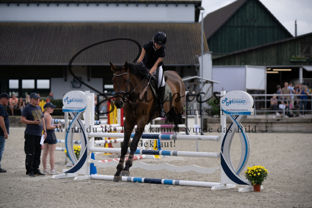 A7V07759 | Turnier/Reitfotograf