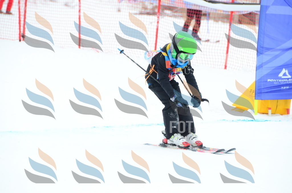 DSC_1935 | holidayphoto