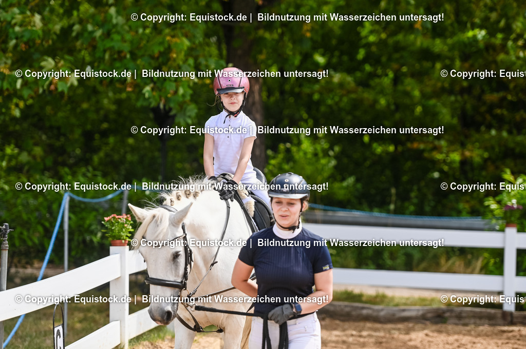 20230716_11_Führzügel-WB_0180 | equistock