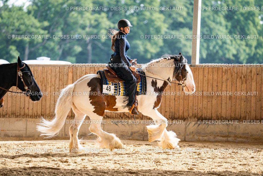 DSC08238 | Pferdegrafie