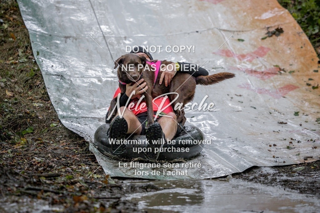 nelerasche_Hunsrück_Sa1030-1100_240-final | nelerasche