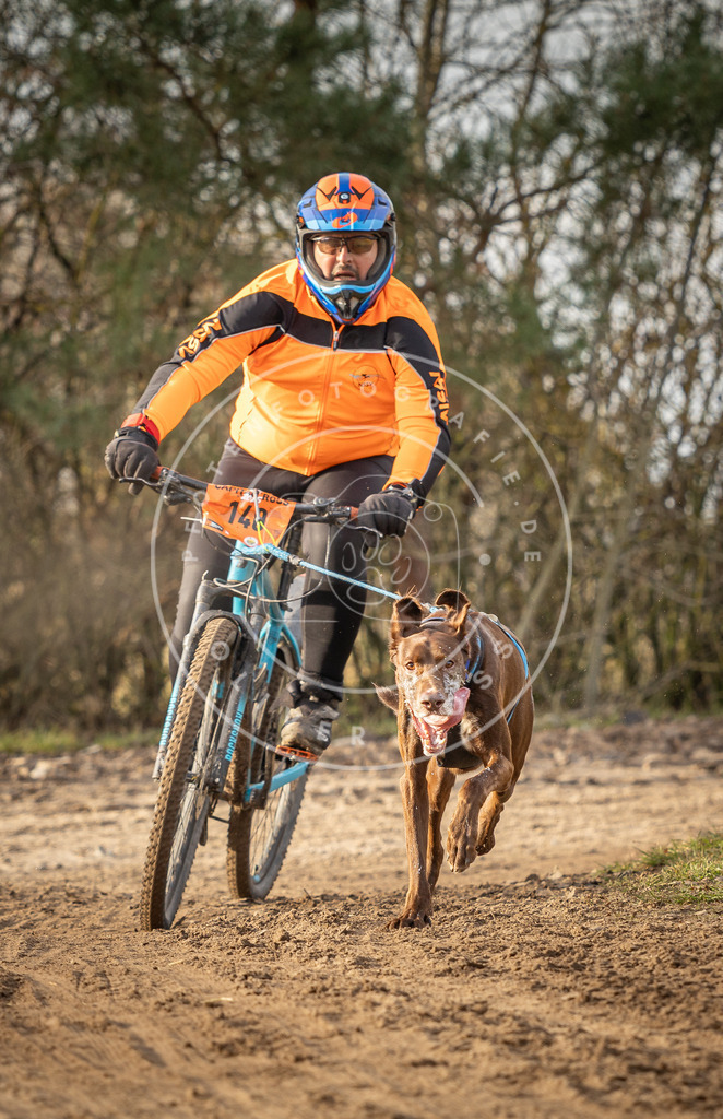 Pfotenfotografie_DV3A8606 | Hundefotografie, Tierfotograf, Pfotenfotografie, Fotoshooting Hund, Hunde Portrait, Hundesport, Hundeportraits, Heideshooting, Hunde, Sportfotograf, Hundefotograf, Turnierhundsport, THS,  - Realisiert mit Pictrs.com
