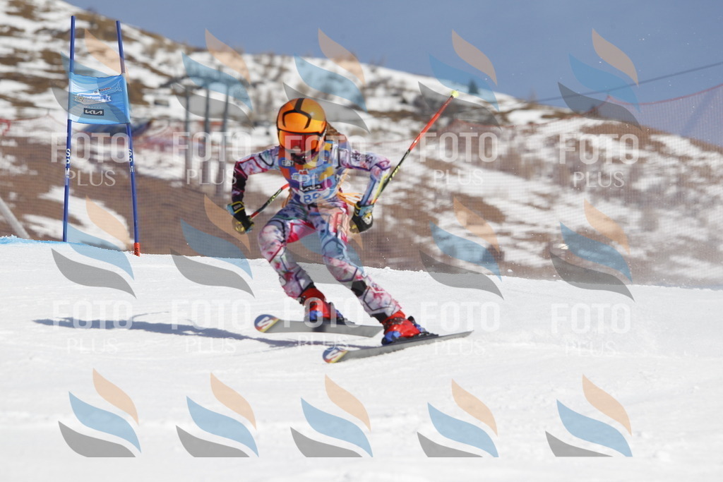 _U3G9998 | holidayphoto