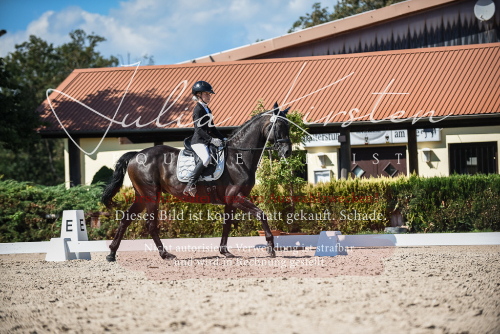 DSC_9559 | Pferde- und Turnierfotografie in Westsachsen. Pferdeportraits, Auftragszeichnungen und intuitive Kunst.